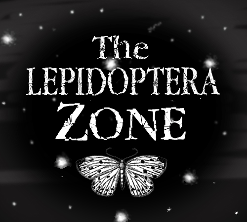 Enter The Lepidoptera Zone….